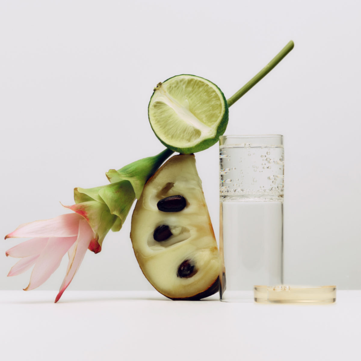The Longevity Serum